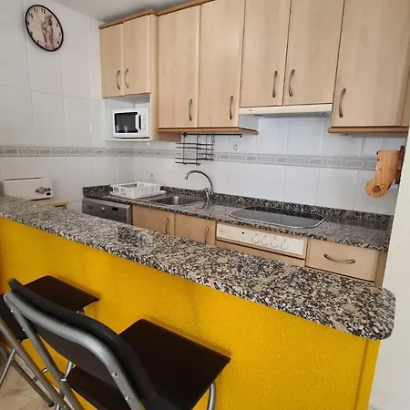 Estudio Palmeras 12 If