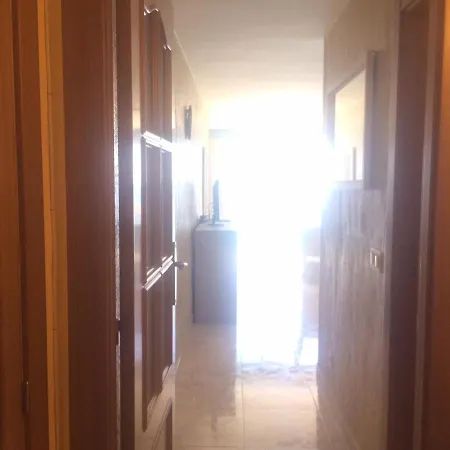 Estudio Palmeras 12 If * Бенидорм