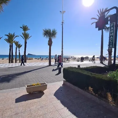 Apartamento Estudio Palmeras 12 If