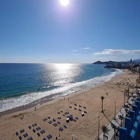 Estudio Palmeras 12 If *