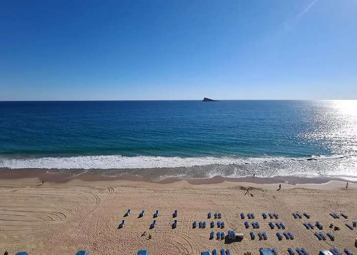 Estudio Palmeras 12 If Lejlighed Benidorm